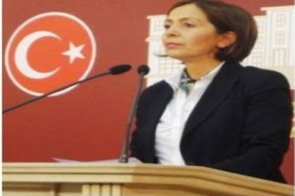 CHP'li Akagün'den Başbakan'a soru