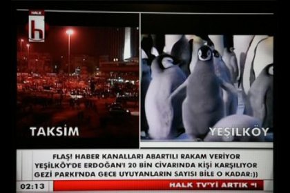 Halk TV, Erdoğan'ın dönüşü yerine penguen belgeseli yayınladı!