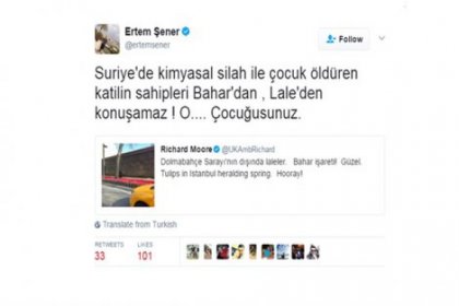 İngiltere Büyükelçisi'ne hakaret eden Ertem Şener'e cevap: Kim bu aptal?