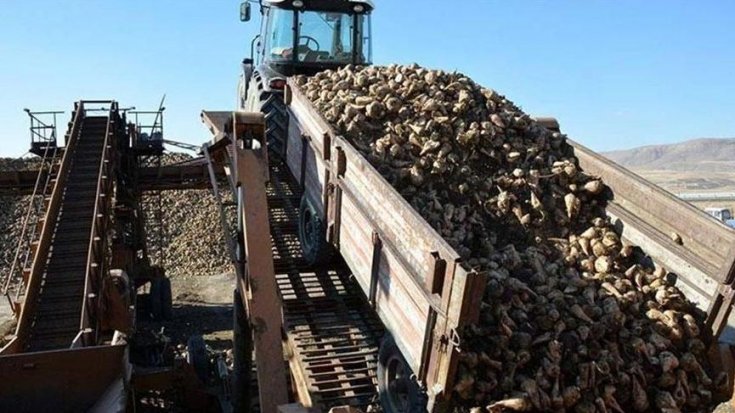 Firmalar parayı bulamadı; Ilgın, Burdur ve Yozgat şeker fabrikalarının ihaleleri resmen iptal edildi