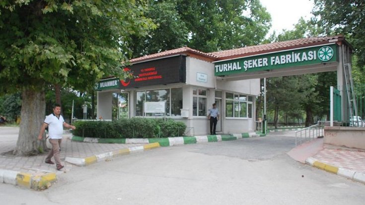 Şeker fabrikalarında işçi kıyımı başladı