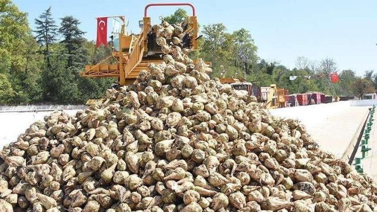 Üç şeker fabrikası daha ihaleye çıkıyor