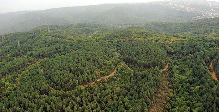 Ziraat Mühendisleri Odası: Torba tasarı ormanlarda nükleer atık depolamanın önünü açar!