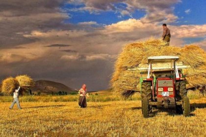 Çiftçiye verilen tarımsal desteklemeler yasayla yandaş şirketlere aktarılıyor