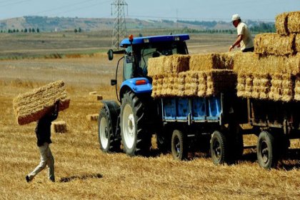 Döviz kuru tarım sektörünü çıkmaza soktu