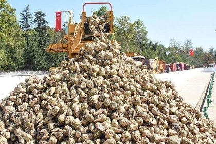 Üç şeker fabrikası daha ihaleye çıkıyor