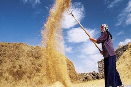 "Üreticinin kazancı eridi, durum tüketiciyi de vuracak"