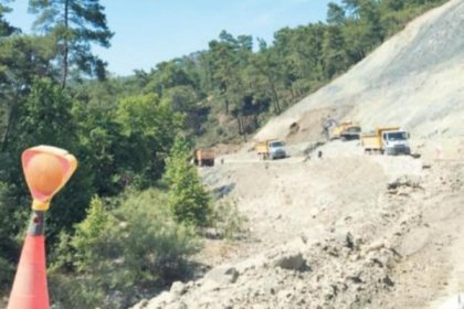 Yazlık sarayın yolu için de 50 bin ağaç kesildi