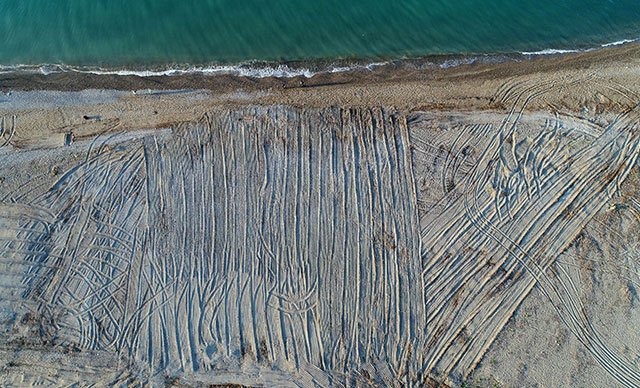 Antalya'da tarla gibi sürülen caretta caretta kumsalında kaybolan yuva sayısı 100'ü geçti