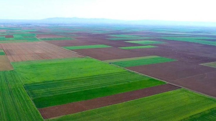 Bilirkişi raporu: Alpu Ovası'na termik santral kurulmamalı