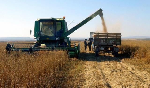 Çin, Rusya’dan ithal ettiği soya miktarını artırmak istiyor