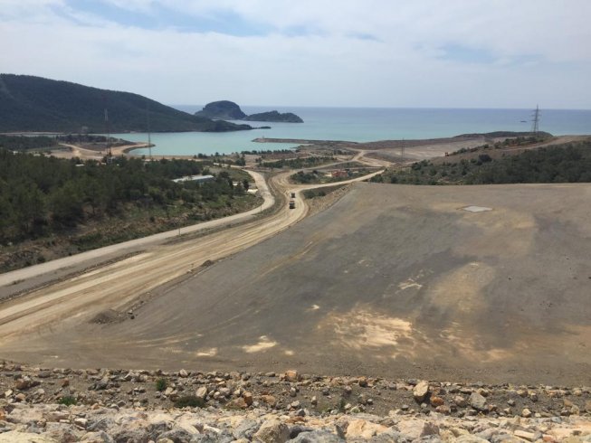 Mersin Akkuyu'da orman katliamı ortaya çıktı