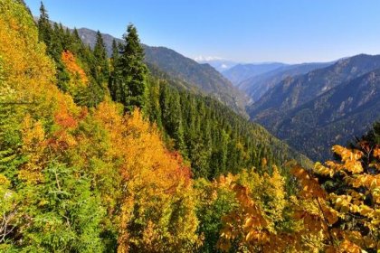 Artvin Hatila Vadisi'nde maden tehlikesi