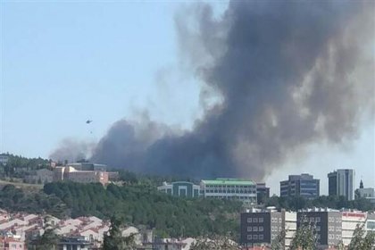 Çanakkale'de orman yangını