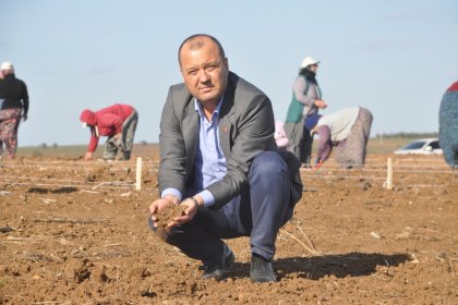 CHP'li Aygün; “Cengiz inşaatın borcunu silen iktidar, çiftçi borçlarının da faizini silsin!”