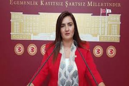 CHP’li Kılıç: 'Tarım arazilerimizi jeotermale kurban etmeyin'