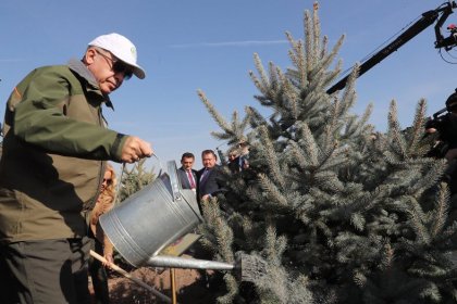 Erdoğan: Kimsenin terazisi bizim yeşil hassasiyetimizi ölçmeye yetmez