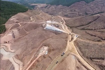 Kaz Dağları'nı talan eden Alamos Gold'un faaliyetleri askıya alındı