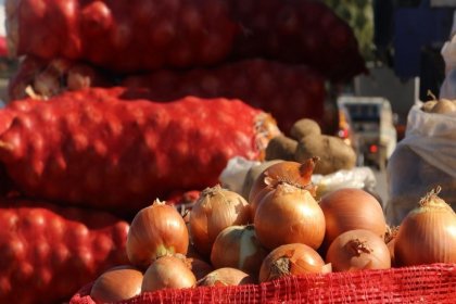 Kuru soğanda sıfır gümrük vergisinin süresi uzatıldı