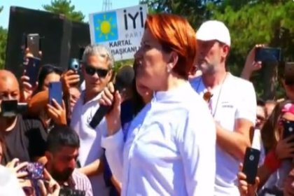 Meral Akşener Kaz Dağları'nda: Bu vicdansızlıktır