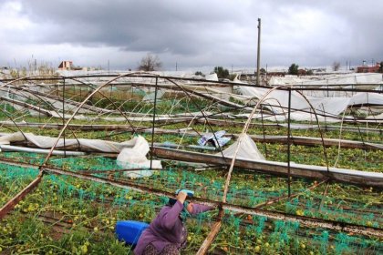 Tarım Bakanlığı'ndan hortum açıklaması: 30 milyon lira ödeme yapıldı