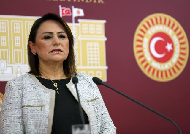 CHP'li Şevkin: Hastanelerde ve kamuda engelli ataması çok yetersiz