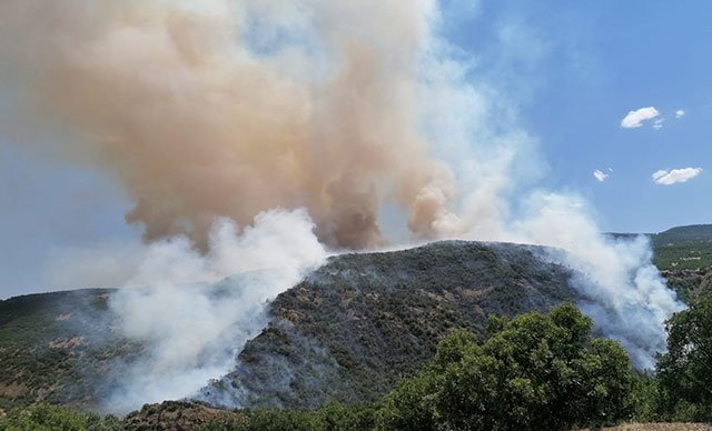 Elazığ'da orman yangını