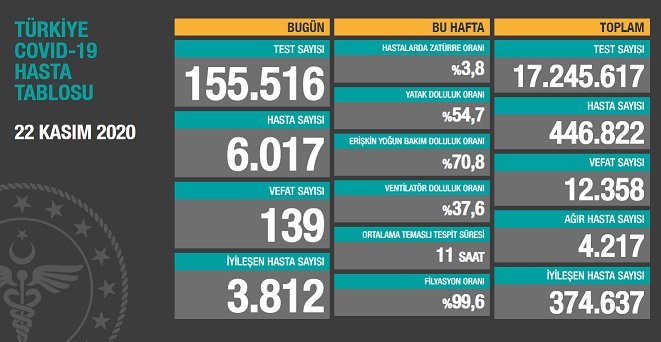 Koronavirüs'ten Türkiye'de 22 Kasım'da 139 toplamda 12.358 kişi öldü