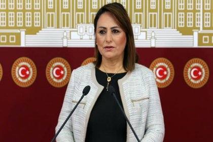 CHP'li Şevkin: Karpuz cennetine karpuz ithalatı kabul edilemez