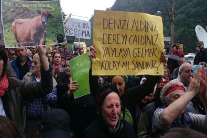 Danıştay, Karadeniz’deki ‘Yeşil Yol’ adlı betonlaşma projesini durdurdu