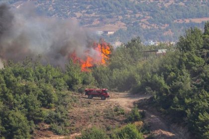 HDP: Orman yangınlarının sorumlularını lanetliyoruz