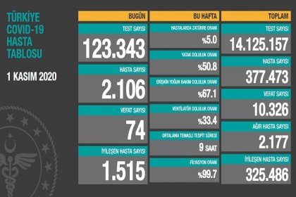 Koronavirüs'ten Türkiye'de 1 Kasım'da 74 toplamda 10.326 kişi öldü