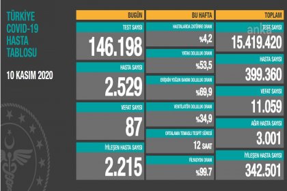 Koronavirüs'ten Türkiye'de 10 Kasım'da 87 toplamda 11.059 kişi öldü