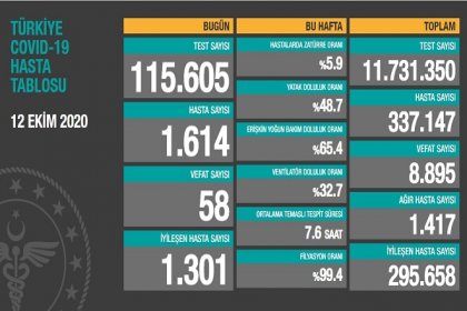 Koronavirüs'ten Türkiye'de 12 Ekim'de 58 toplamda 8.895 kişi öldü