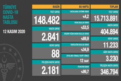 Koronavirüs'ten Türkiye'de 12 Kasım'da 88 toplamda 11.233 kişi öldü