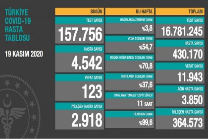 Koronavirüs'ten Türkiye'de 19 Kasım'da 123 toplamda 11.943 kişi öldü