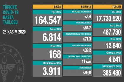 Koronavirüs'ten Türkiye'de 25 Kasım'da 168 toplamda 12.840 kişi öldü