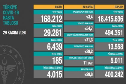 Koronavirüs'ten Türkiye'de 29 Kasım'da 185 toplamda 13.558 kişi öldü