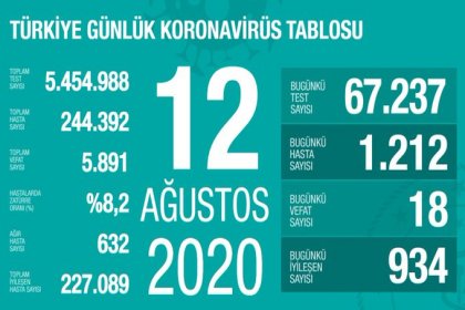 Türkiye'de 12 Ağustos'da Covid_19'dan 18 toplamda 5.891 kişi öldü