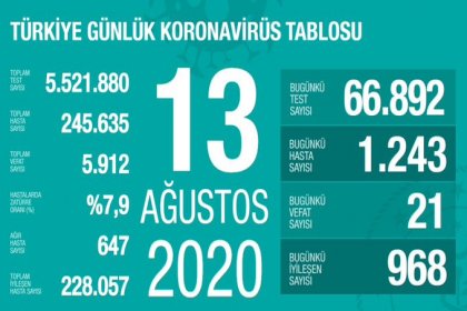 Türkiye'de 13 Ağustos'da Covid_19'dan 21 toplamda 5.912 kişi öldü