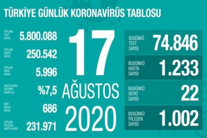 Türkiye'de 17 Ağustos'da Covid_19'dan 22 toplamda 5.996 kişi öldü