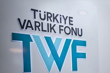 Varlık Fonu, denetimden 'tam not' alamadı