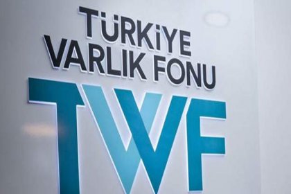 Varlık Fonu, Turkcell'e ortak oldu