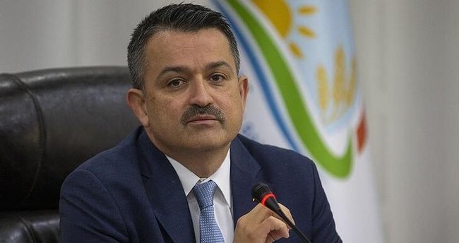 Bakan Pakdemirli'den destek ödemesi açıklaması