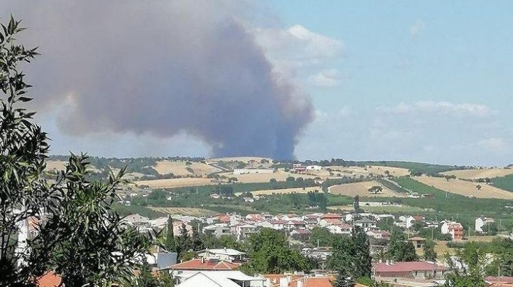 Çanakkale’de orman yangını