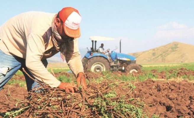 Çiftçi kredi borçları nedeniyle toprağını satışa çıkardı