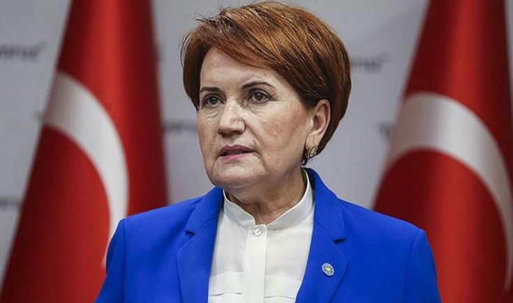 Meral Akşener'e yeni danışman