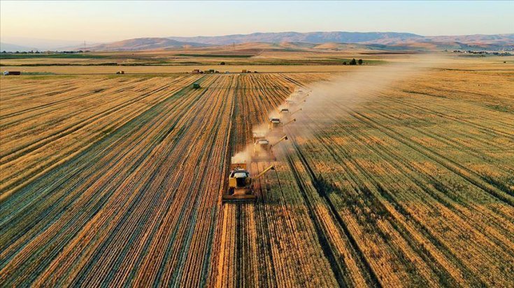 Tarımsal girdi fiyatları yüzde 21 arttı