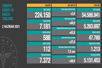 Covid_19, Türkiye'de 2 Haziran'da 112 toplamda 47.768 can aldı