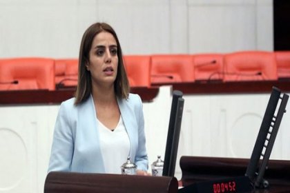 HDP'li Başaran, Erdoğan'ın kitabının ABD'deki tanıtımına ne kadar harcandığını sordu